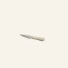 Precise Paring Knife